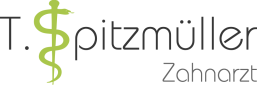 2020 03 Logo T Spitzmueller